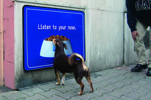 Ads-for-Animals-Affinity